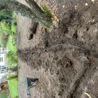 Burying the armour cable for the garden lights